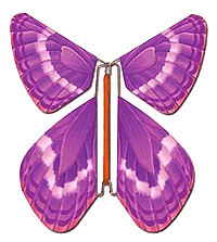 papillon-faire-part